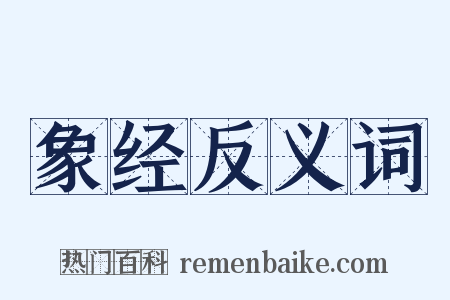 象经反义词是什么意思的图片